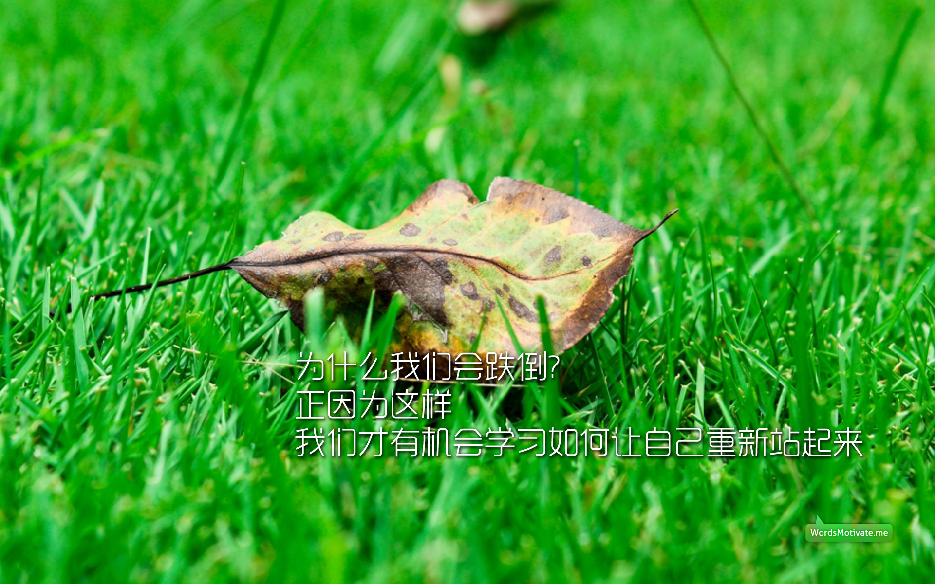 跌倒1.jpg